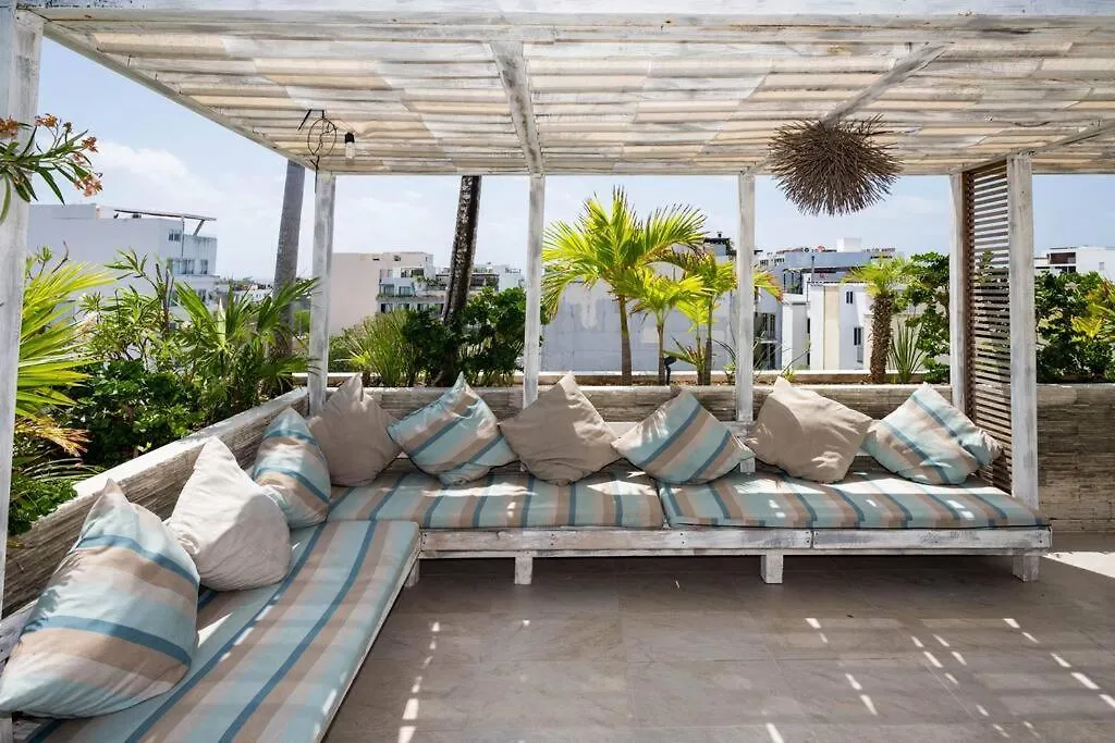 Newport Confort Y Estilo En Armonia Playa del Carmen Mexico