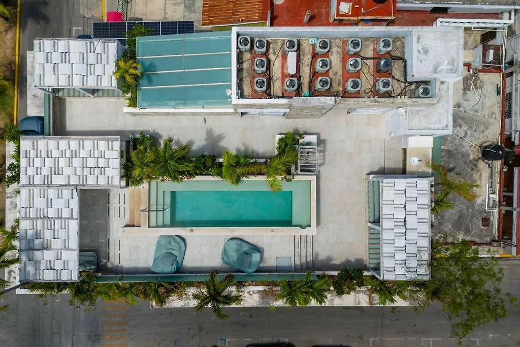 Newport Confort Y Estilo En Armonia Playa del Carmen Mexico