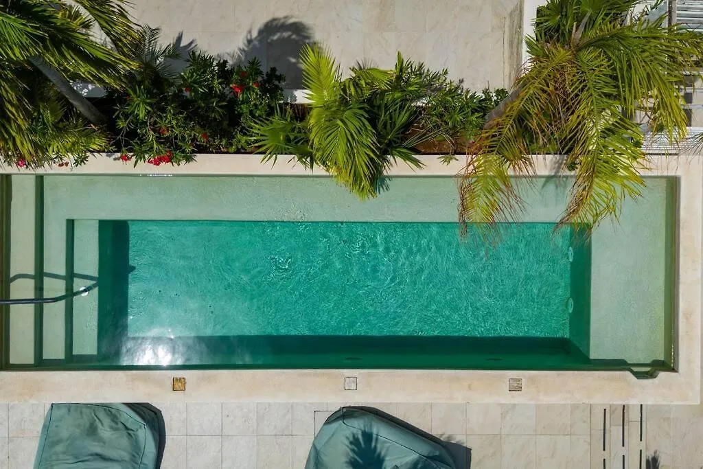 Newport Confort Y Estilo En Armonia Playa del Carmen